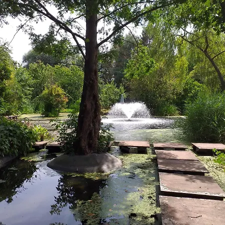 De Geheime Tuin - In 't