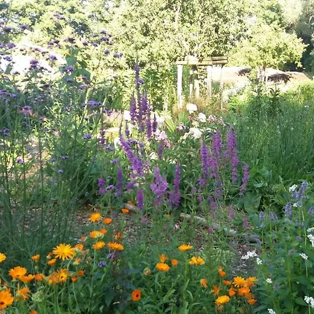 De Geheime Tuin - In 't Bed & Breakfast Epe