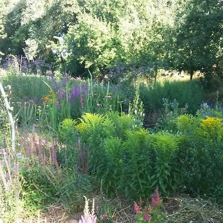 De Geheime Tuin - In 't Bed & Breakfast Epe