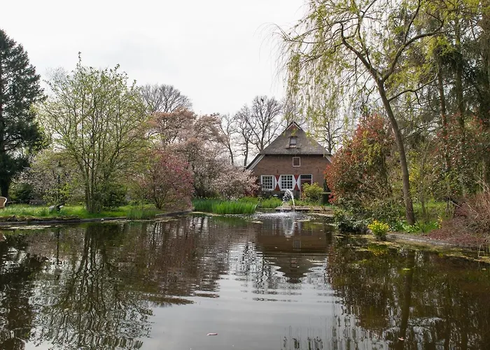 De Geheime Tuin - Boshuis 4* Epe
