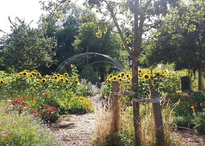 Bed & Breakfast De Geheime Tuin - Boshuis