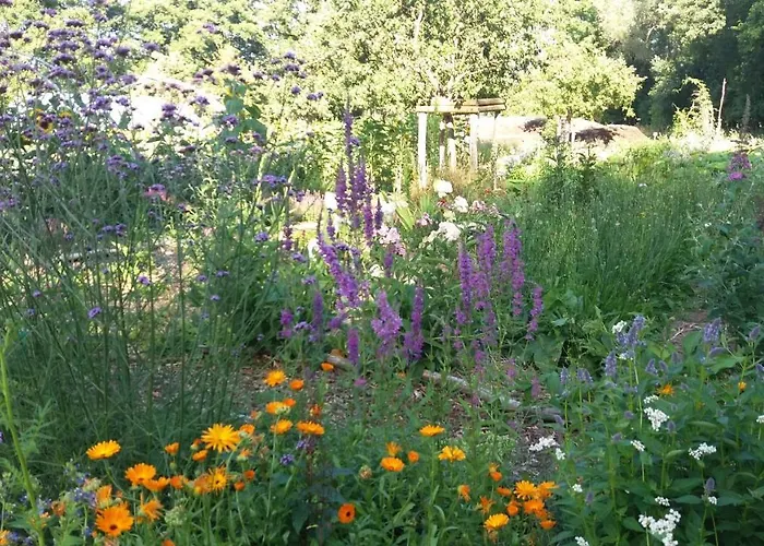 De Geheime Tuin - In 't Bed & Breakfast Epe