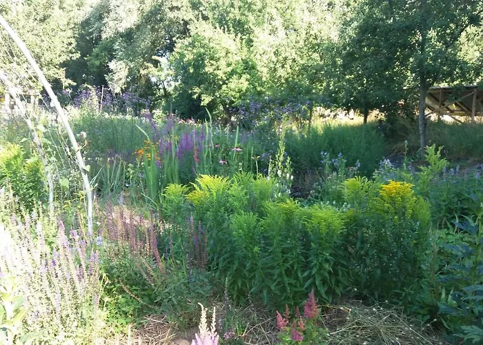 De Geheime Tuin - In 't Bed & Breakfast Epe