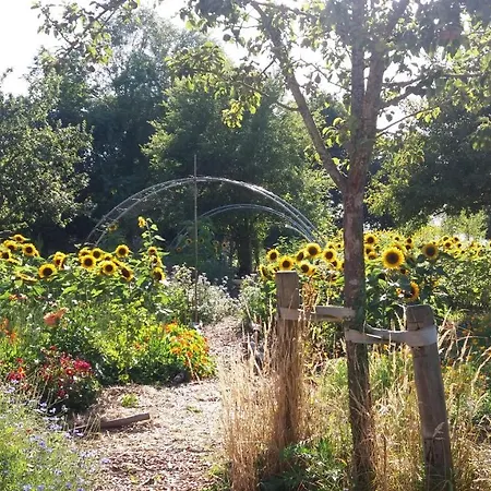 ベッド・アンド・ブレックファスト De Geheime Tuin - In 't